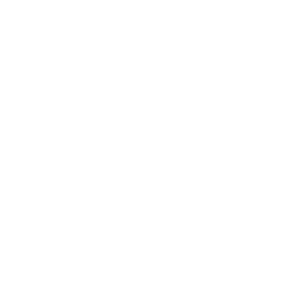 BearlyInsane